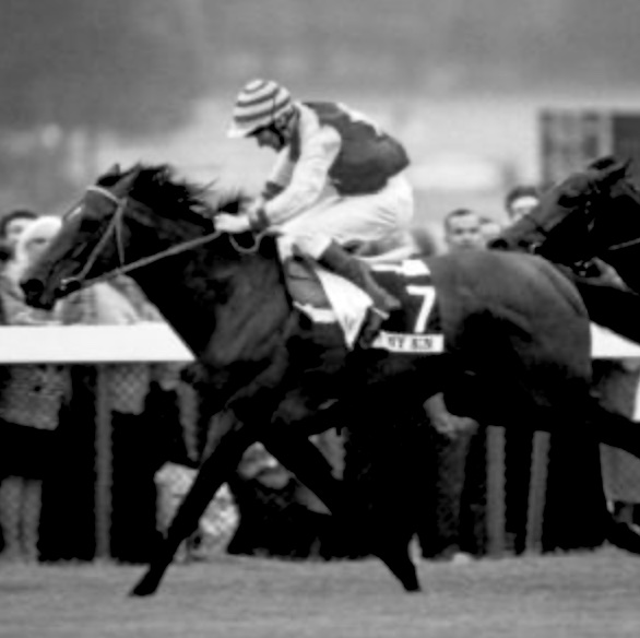 Tony Bin vince il Prix de l'Arc de Triomphe del 1988
